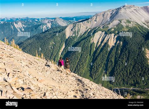 Hiking on the Sunrise Rim Trail in the "Sunrise" section of Mt. Rainier National Park ...