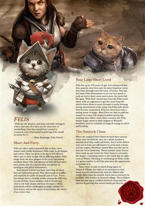 The Felis Race for Dungeons & Dragons (D&D) Fifth Edition (5e) - D&D ...