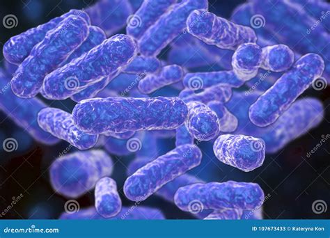 Bartonella Henselae Bacteria, The Causative Agent Of Cat-scratch Disease Stock Illustration ...