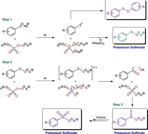 Thiol Oxidation Mechanism