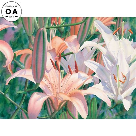 Lilies of the Field | Wild Wings. Original Watercolor Painting, Original Watercolors, Lilies Of ...