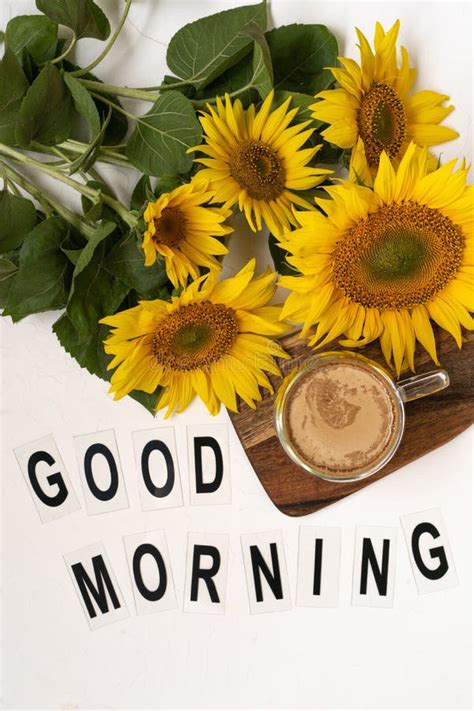 451 Good Morning Sunflower Stock Photos - Free & Royalty-Free Stock Photos from Dreamstime