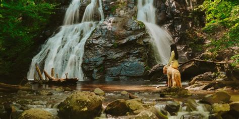 Best Waterfall Hikes in Shenandoah National Park - With Sunshine Sol