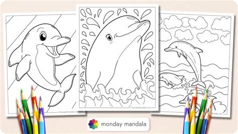 34 Dolphin Coloring Pages (Free PDF Printables)