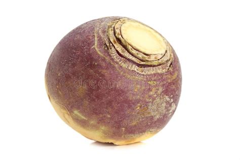 Turnip. Fresh whole raw turnip, white background , #AFF, #raw, #Fresh, #Turnip, #background, # ...