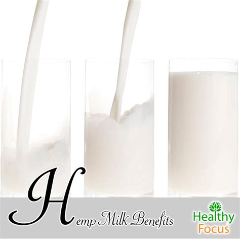 Hemp Milk Benefits - Healthy Focus