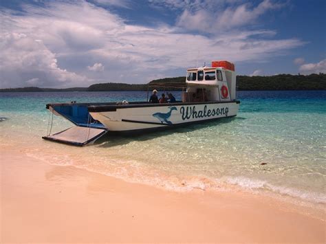 THE 15 BEST Things to Do in Vava'u Islands (2024)