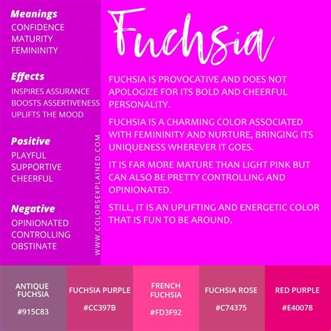 Meaning of the Color Fuchsia And Its Symbolism (2023)