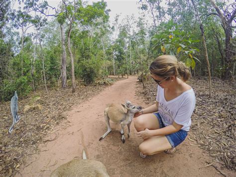 A Guide To Visiting The Territory Wildlife Park From Darwin, Australia