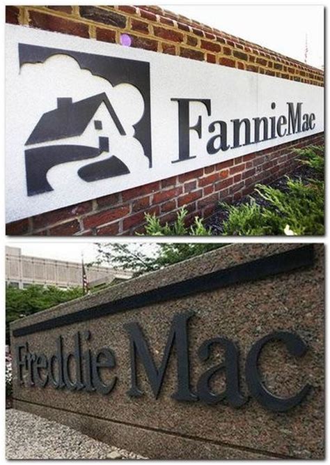 Fannie Mae and Freddie Mac make $66.3 billion in dividend payments to ...