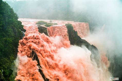 Barron Falls flowing red with recent flooding, Queensland Australia : r/natureismetal