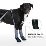 Walkee Paws Waterproof Dog Leggings Review