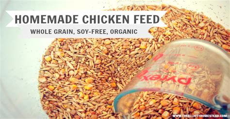 Organic Homemade Chicken Feed. - The Elliott Homestead