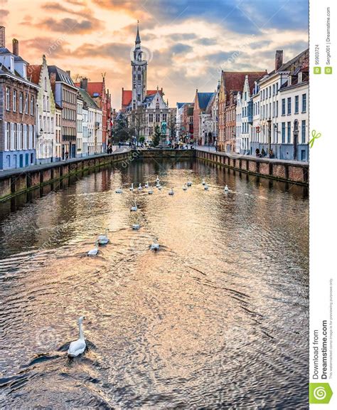 Swans on Spiegelrei Canal in Winter Evening, Bruges, Belgium Editorial Stock Image - Image of ...