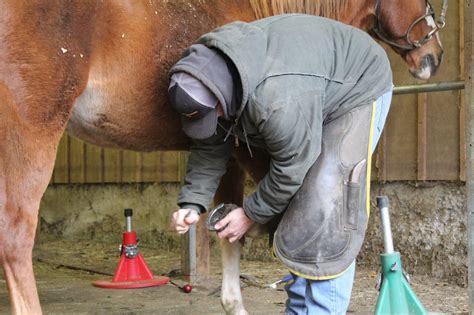 Oregon Farrier School