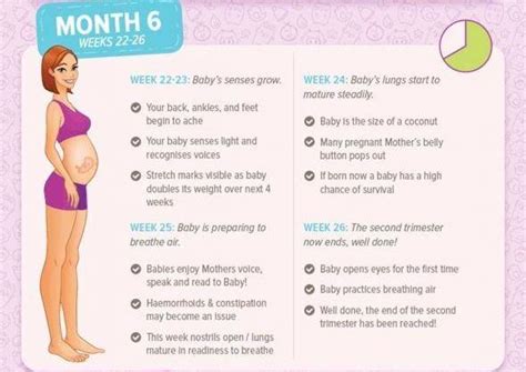 Everything You Need to Know About Being Six Months Pregnant