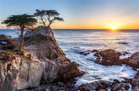 Lone Cypress – Trek Spotter