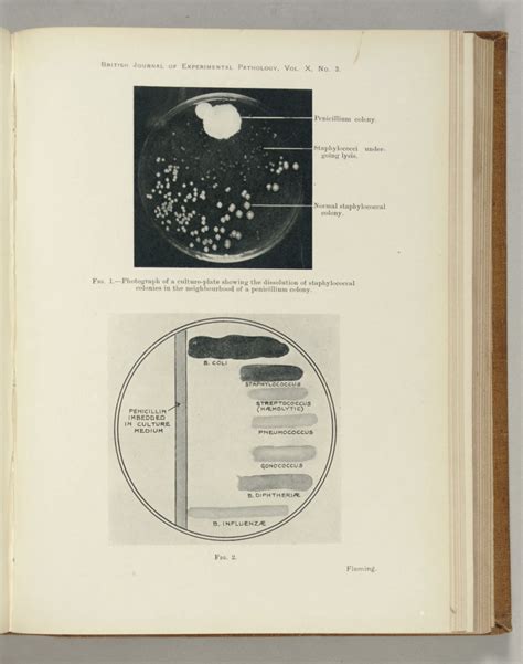 FLEMING, Alexander (1881-1955). "On the Antibacterial Action of ...