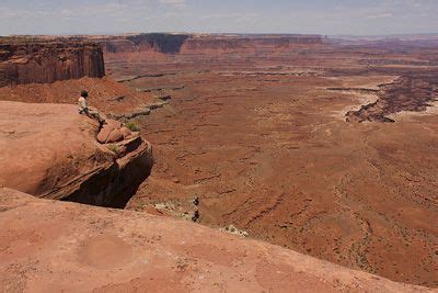 Taking in the immense landscape of the Canyonlands National Park during a wildlife tracking ...