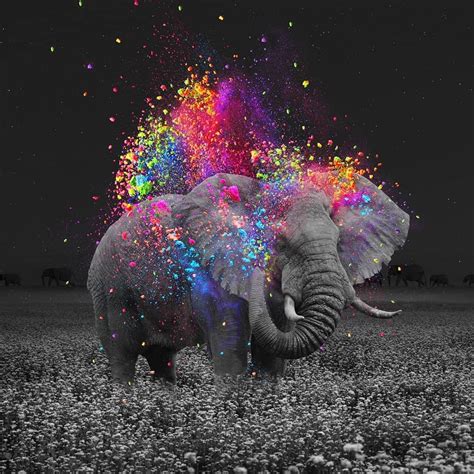 Background Elephant Wallpaper - EnWallpaper