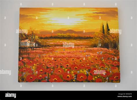 Brightly coloured poppy field painting with sunset Stock Photo - Alamy