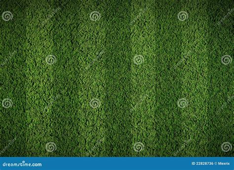 Football Grass Field Royalty Free Stock Image - Image: 22828736