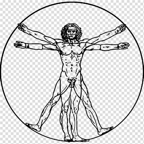 Vitruvian Man by Leonardo Da Vinci