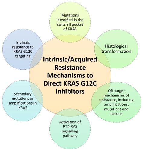 IJMS | Free Full-Text | KRAS-Mutant Non-Small-Cell Lung Cancer: From Past Efforts to Future ...