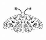 Printable Moth Coloring Pages Free For Kids And Adults sketch template