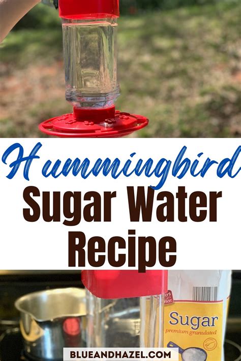 How To Make Sugar Water For Hummingbirds - Blue and Hazel