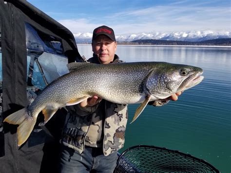 Flathead Lake Fishing Report 2020 - All About Fishing