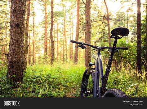 Mountain Bike MTB On Image & Photo (Free Trial) | Bigstock