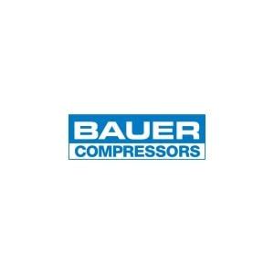 Bauer Logo Vector - (.Ai .PNG .SVG .EPS Free Download)