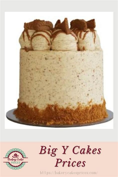 This cake is decorated with chunks and powdered brown biscuit. Big Y ...