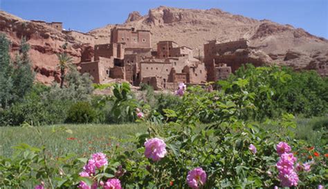 ARTICLE: Kelâat M'gouna, The Rose Valley of Morocco – bioriental