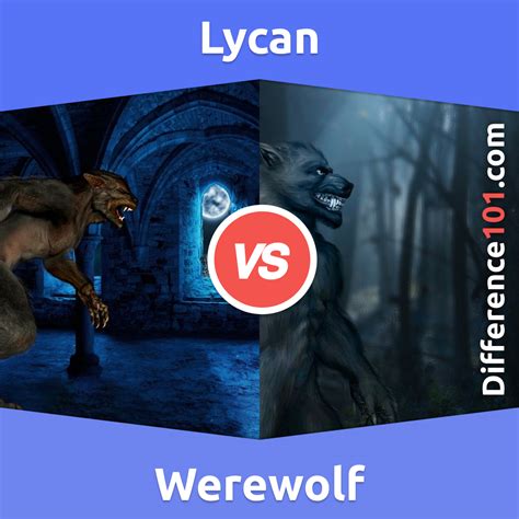 Werewolf Vs Lycan