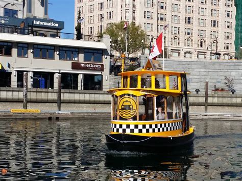 Explore the Gorge on a Fun Harbour Ferries, Victoria, Tour!