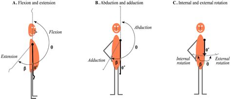 Shoulder movement, flexion, extension, abduction, adduction, external ...