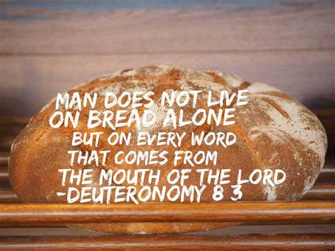 Man Shall Not Live By Bread Alone Old Testament - Bread Poster