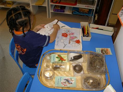 Inspired Montessori and Arts at Dundee Montessori: Science Experiments ...