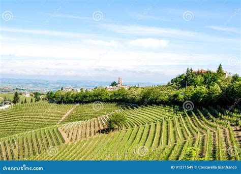 Langhe Hills, Piedmont stock image. Image of hill, rural - 91271549