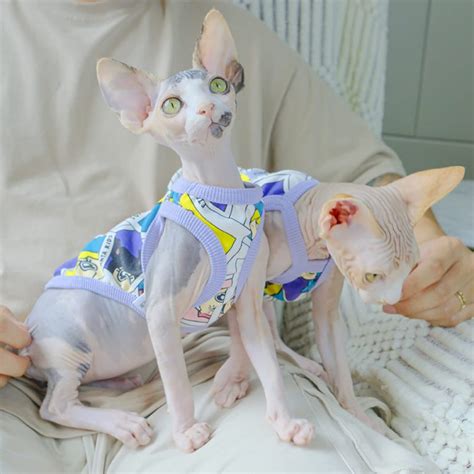 Sphynx Cat Clothes | 😻 Best Clothes for Sphynx Cats, Sphynx Clothing