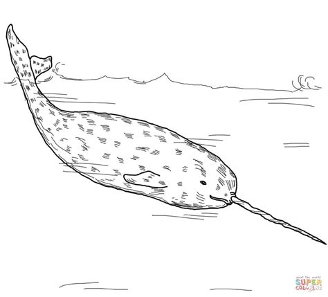 Arctic Whale Narwhal coloring page | Free Printable Coloring Pages