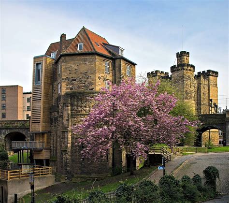 Visit Us — Newcastle Castle