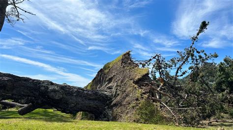 Cyclone Gabrielle: How people in cut-off Coromandel towns pulled together to help one another ...