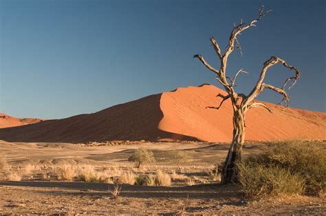 Portugal pode ter um deserto em 20 anos - Renascença