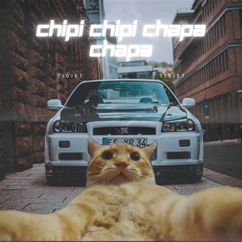 ‎chipi chipi chapa chapa (PHONK HOUSE) - Single - Album by Tidiet - Apple Music