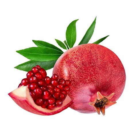 Parfianka Pomegranate Tree