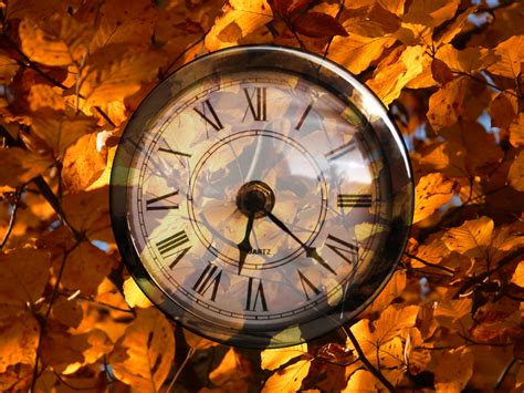 Images Gratuites : feuille, l'horloge, temps, Couleur, l'automne ...