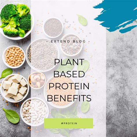 Plant-Based Protein Benefits – Extend Nutrition